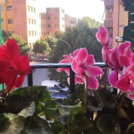 Casetta Del Quadraro 罗马 外观 照片